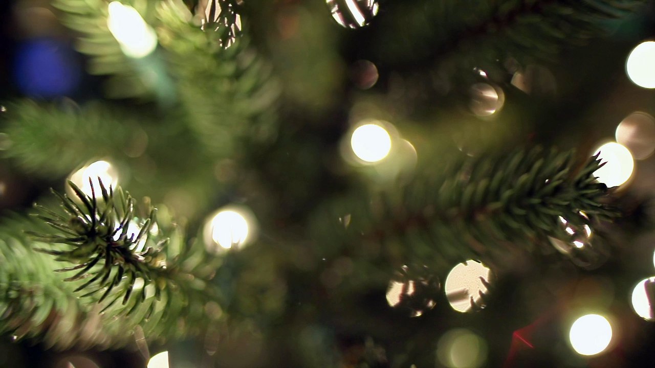 Christmas Tree Bokeh
