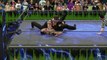 WWE 2K16 the undertaker v the undertaker