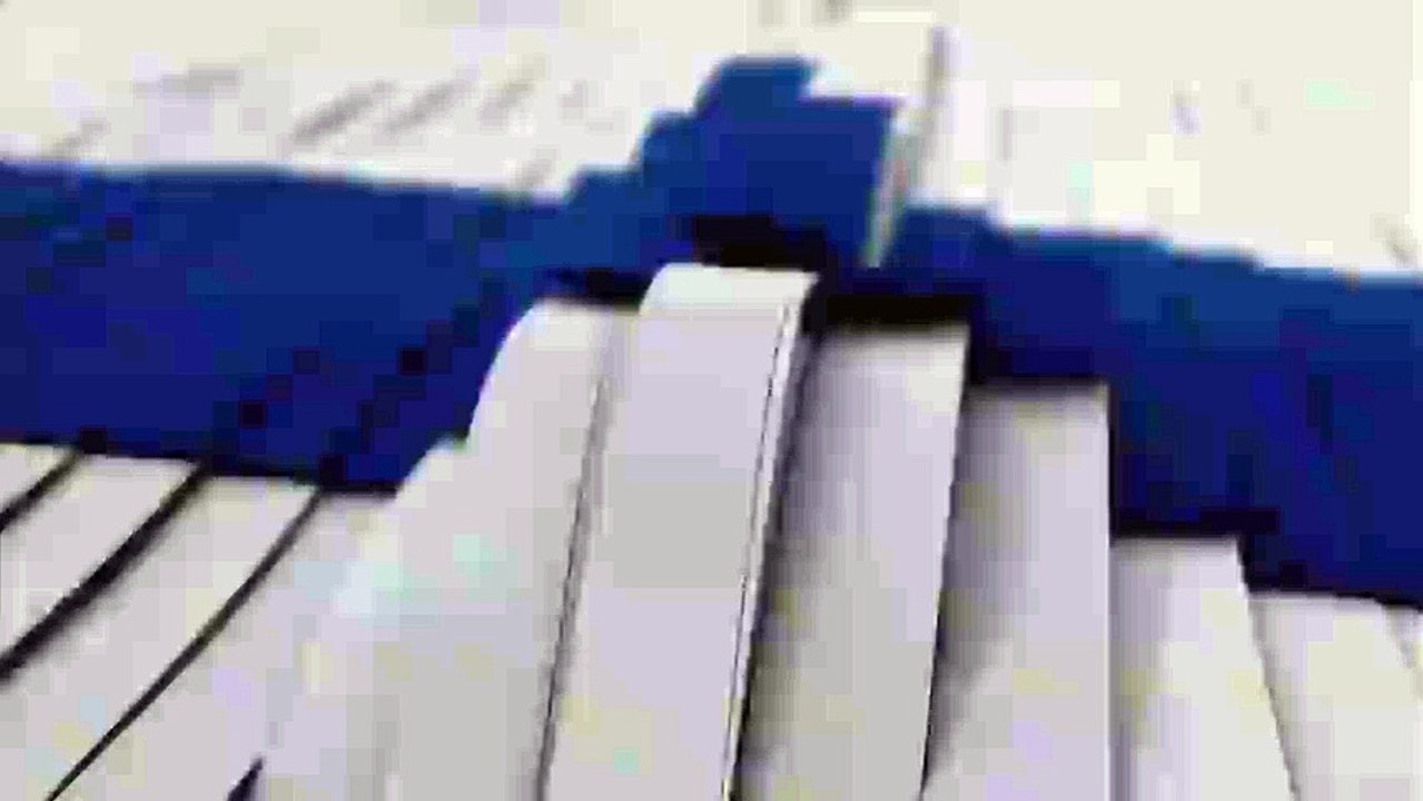 P Y P 111