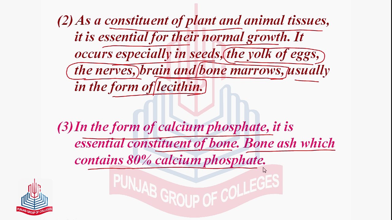 Phosphorus , its Compounds &  Allotropes of Phosphorus