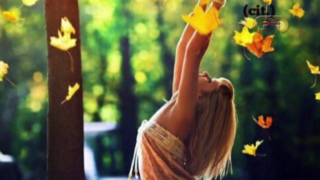 8 Marzo festa delle donne