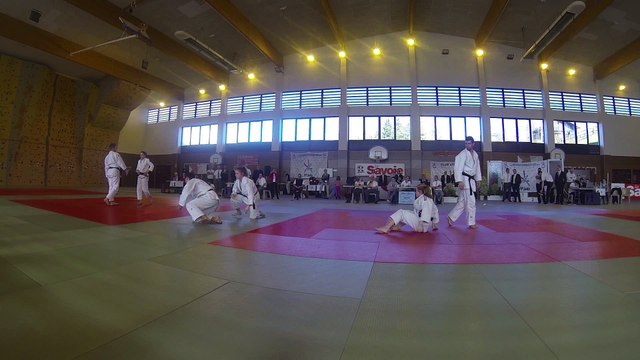 judo show open régional Rhône Alpes de jujitsu