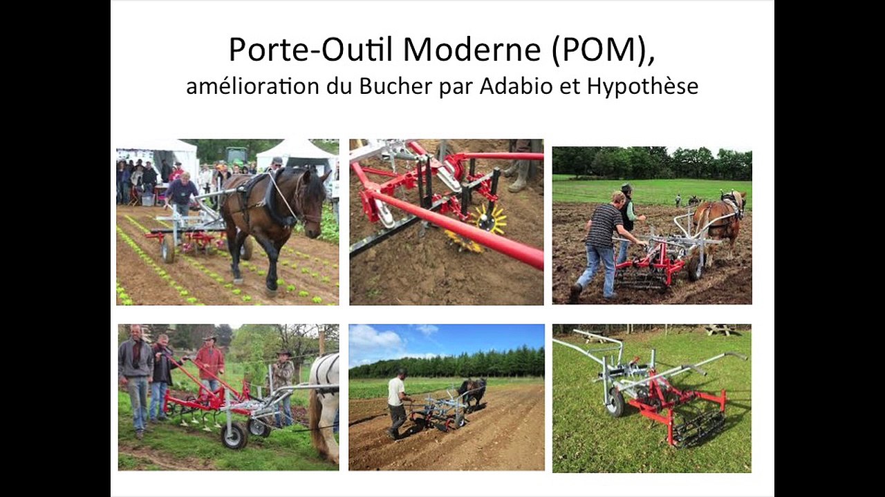 MSV2015 - Atelier Traction animale 2/2 - Fabrice Meyer