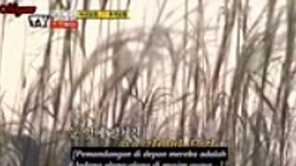 인터넷바카라게임━━━AOA200。COM━━━로얄바카라