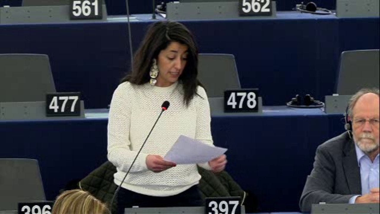 Karima Delli: "la principale demande des ports européens n'est pas la libéralisation"