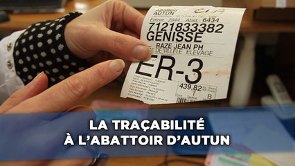 La traçabilité à l'abattoir d'Autun