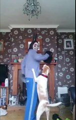 What the f*ck did I actually just watch.