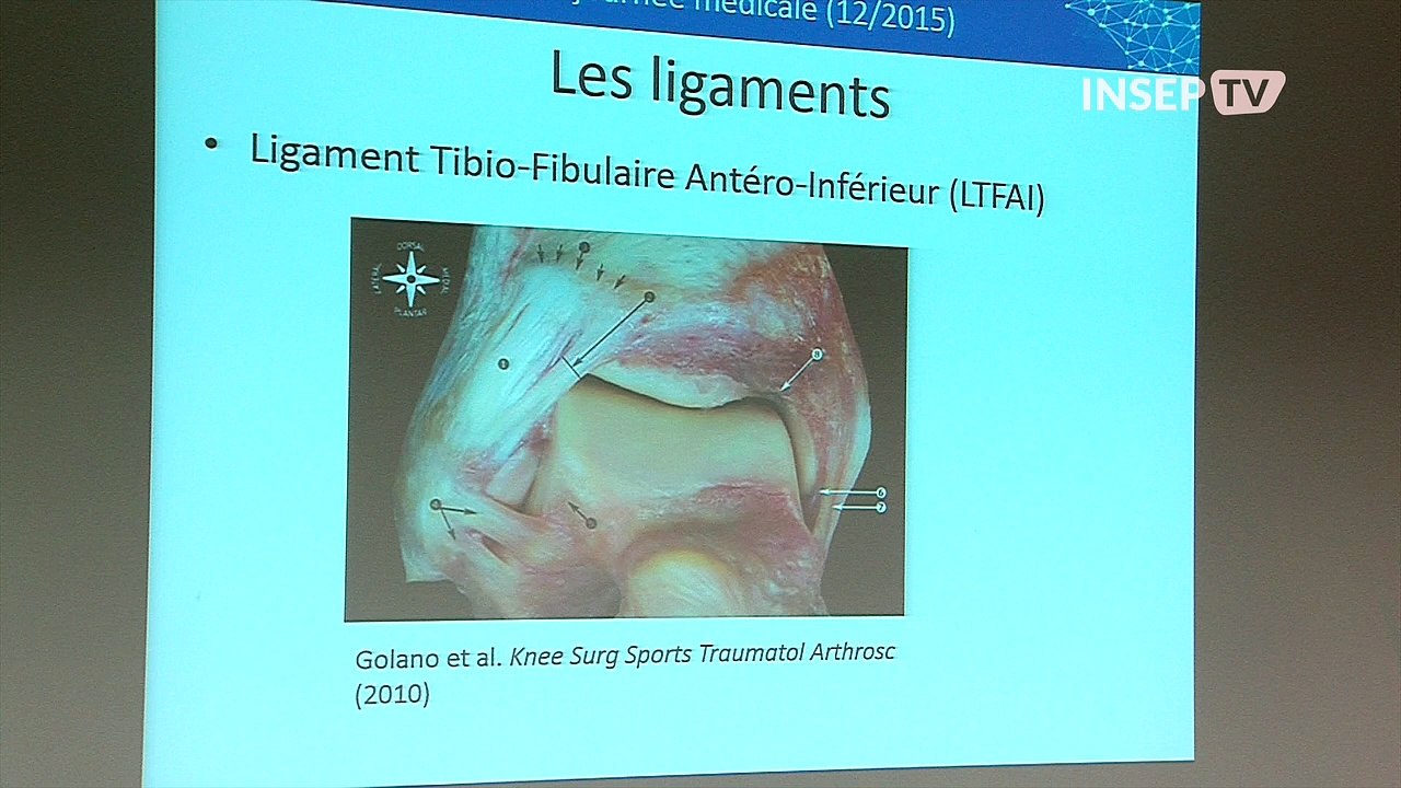 07- Pierre Papon / Journée Médicale INSEP 2015