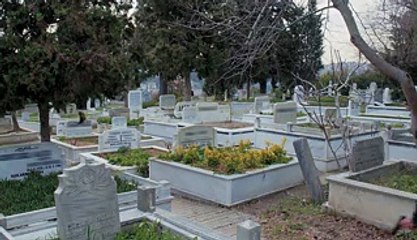 وادي الذئاب 10 حلقة 286 إعلان