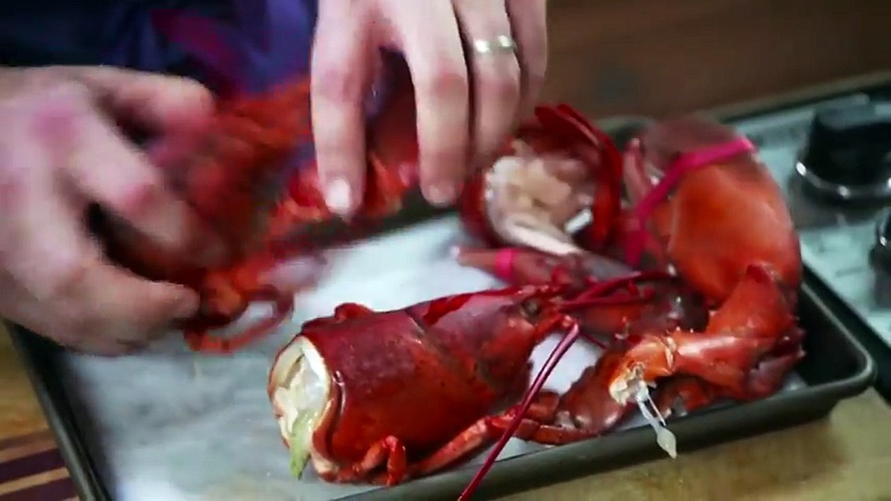 How To Break Down A Lobster