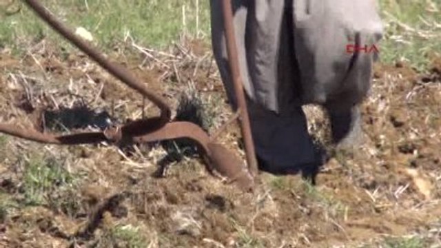 Aydın Aydın, Farkındalık İçin Öküz Yerine Geçip Tarla Sürdü