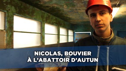 Nicolas, 18 ans, bouvier à l'abattoir d'Autun