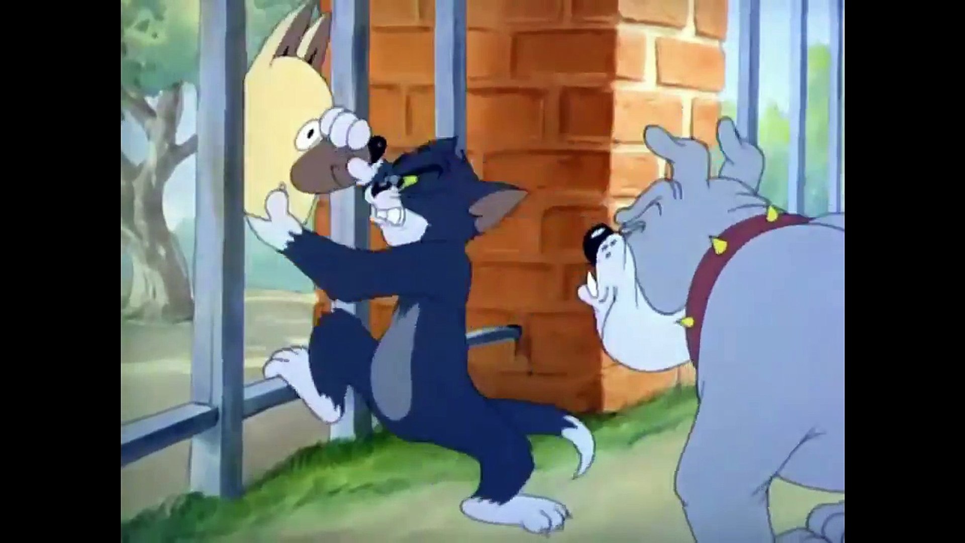 Tom Jerry Doktor Fare Cizgi Film Dailymotion Video