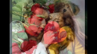 Happy valentine day 14 feb 2014 HD wallpapers