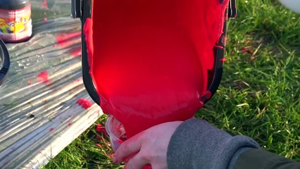 Behind the Scenes: Harlequins Bring the Colour