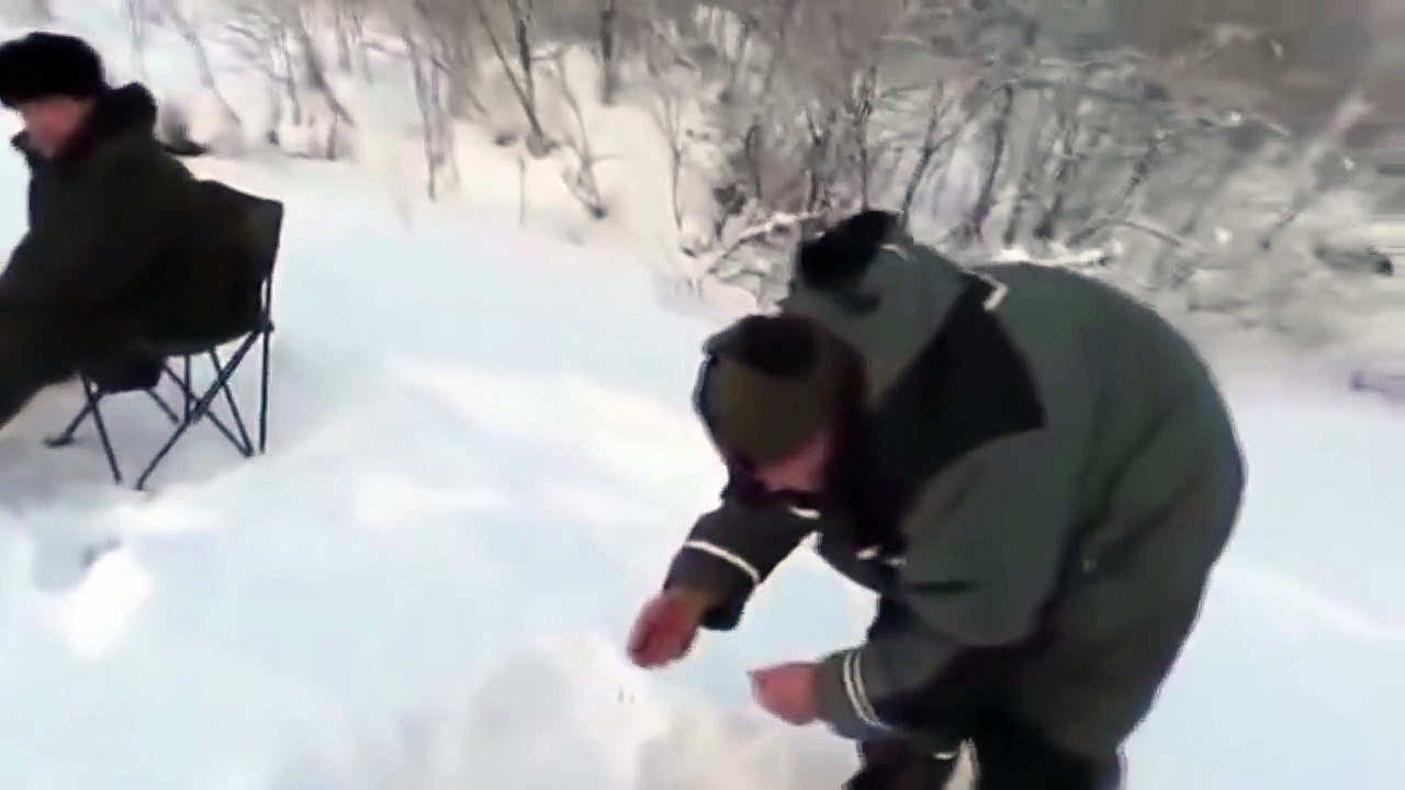 Лиса пришла в гости к рыбакам, хитрая рыжая плутовка видео