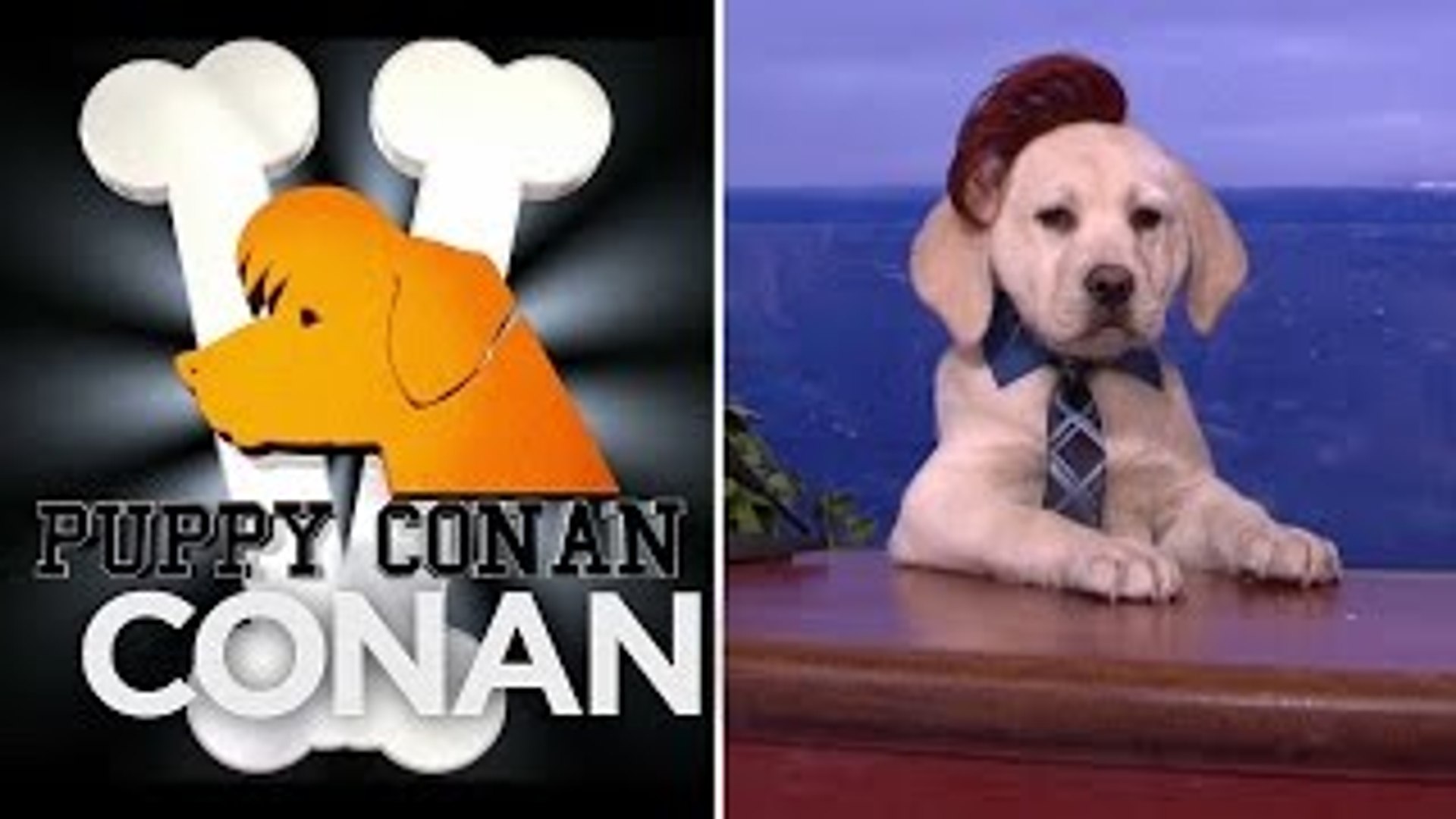 Puppy Conan V Featuring Puppy Sia & Puppy Larry King - CONAN on TBS