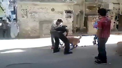 Funny Dog Attack Animals Attack Human Funny Animals Pit Bull Attack
