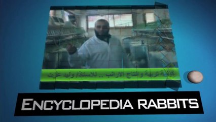 طريقة علاج التهاب الرحم عند الارانب