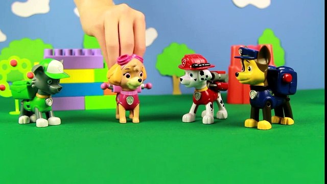 Dessins animés éducatifs pour enfants. Pat'patrouille joue à cache-cache Dessins Animés Pour Enfants