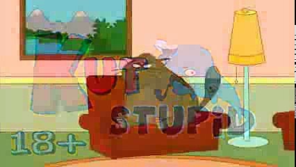 Жирный кошара - KuTstupid