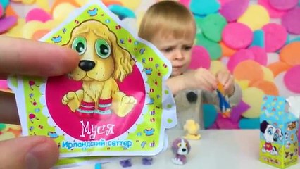 Коробочка сюрприз игрушки щенки распаковка Sweet Puppies toys