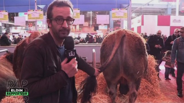 Zapping Télé du 8 mars 2016 - Ce qui manque aux politiques selon C. Eldin !