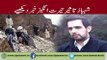Shahbaz Taseer Recovered from Balochistan after Five Years in Captivity