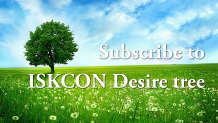 Are we violating our own human rights (Gita Daily)