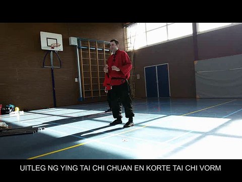 Ng Ying Tai Chi Chuan Apeldoorn, Uitleg & Demonstratie