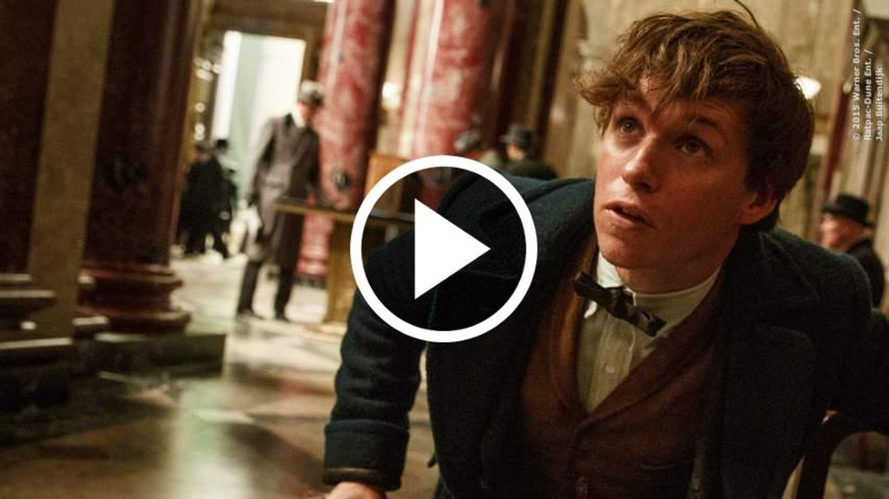 PHANTASTISCHE TIERWESEN UND WO SIE ZU FINDEN SIND - Magic in North America English Englisch (2016)