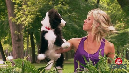 Relax Daily_Stuffed Dog Attacks Real Dog