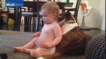 Köpek Banyosu Zamanı! Sırtını Köpeğine Yalatıp Keyif Yapan Şapşik Bebek