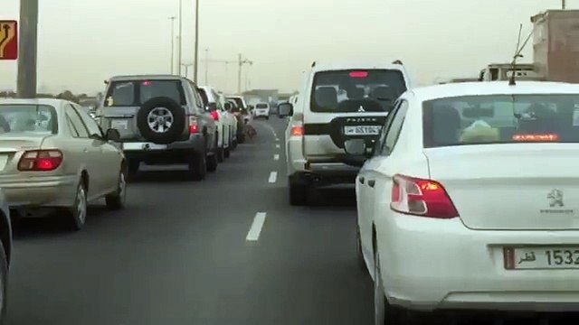Un tigre en liberté sur une route à Doha