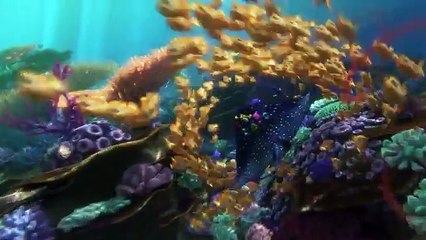 Finding Dory Trailer – Official Disney Pixar   HD