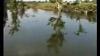 Pani Parivar new 01.wmv