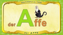 Multipedia der Tiere Buchstabe A der Affe