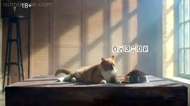 Эфир от НТВ плюс