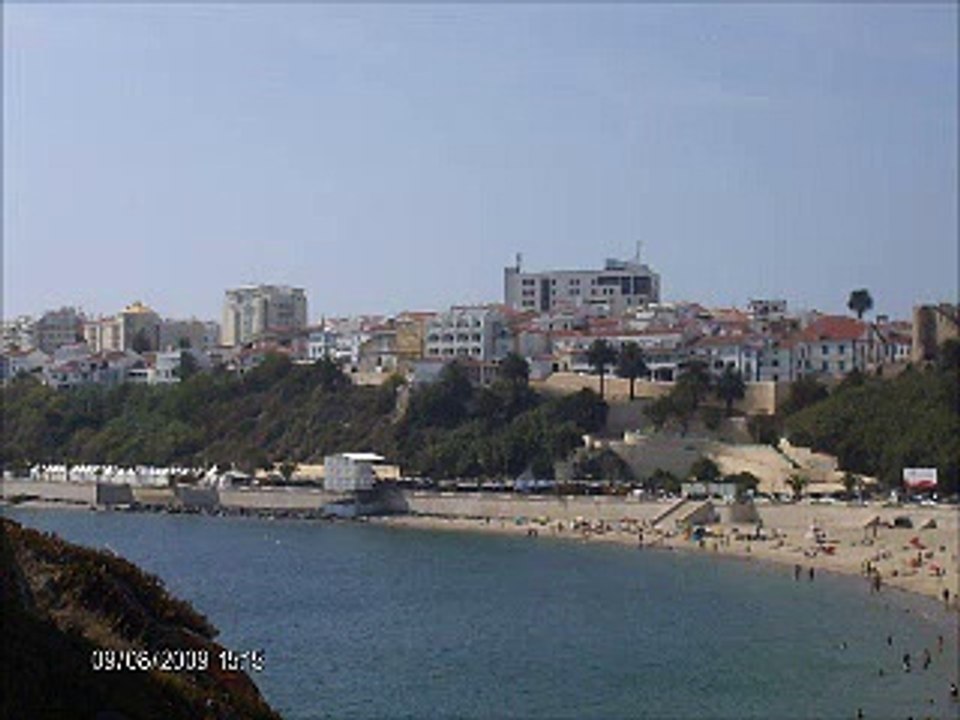 o  pintasilgo