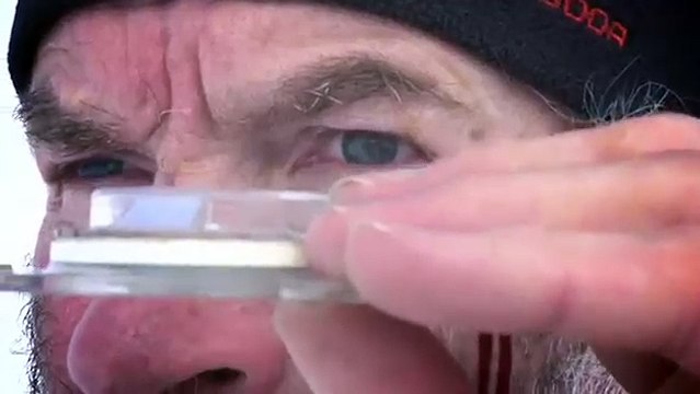 Рисунок на снегу_ Игра престолов