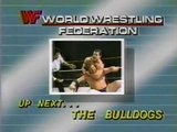 British Bulldogs in action plus Piper's Pit   Championship Wrestling Jan 25th, 1986