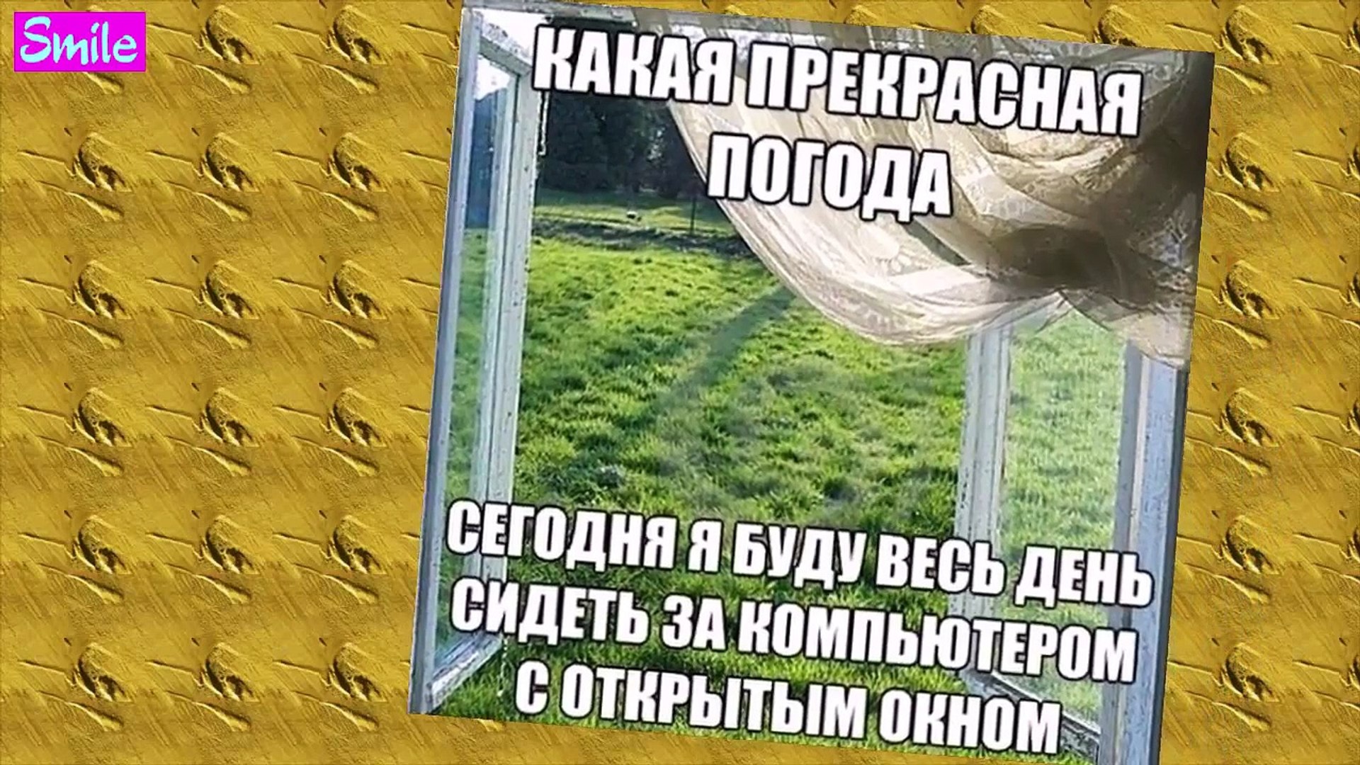 Приколы 2015 года ФОТО ПРИКОЛЫ