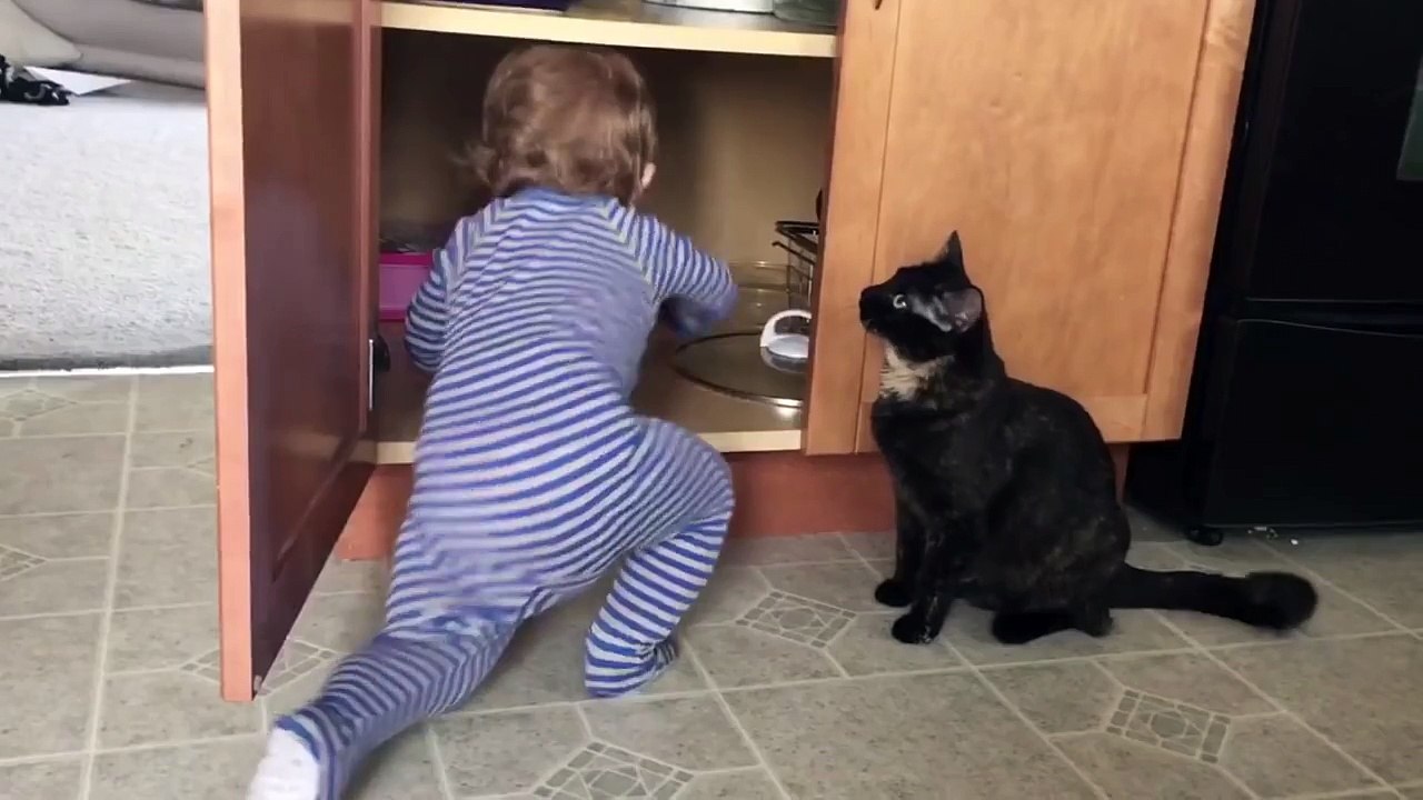 This Cat Is Sick Of His Kid