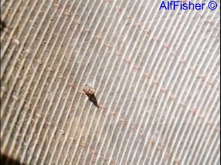 Ремонт велосипеда.Заклейка камеры за 20 минут What stick cameras on bicycle converted