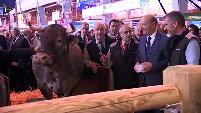 Au coeur de la primaire des Républicains, épisode 7