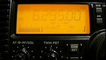 Pirate Radio 6295 kHz.