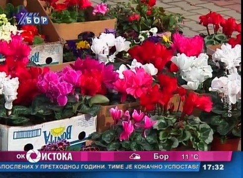 Oko istoka, 08. mart 2016. (RTV Bor)