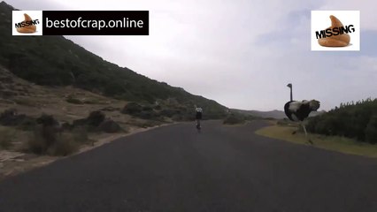 An angry Ostrich Races Up Behind A Group Of Cyclists Absolutely HILARIOUS