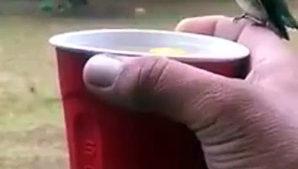 Eliyle Kuşları Sulayan Adam