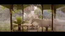 Jaanisaar Official Movie Trailer _ Starring Pernia Qureshi & Imran Abbas _ Relea